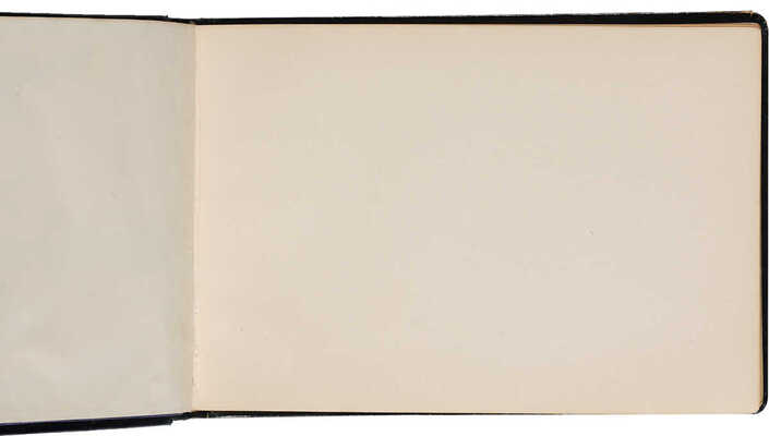 Aurografos. Альбом для записей. XIX век. [94] л.; 16,5 * 23 см